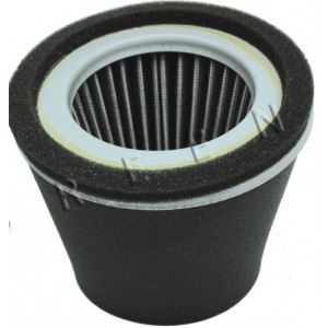 Filtru de aer Robin - Subaru EY28