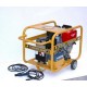 Generator Benza diesel cu rezervor standard WGTYDS 220 DC-8
