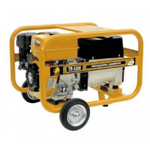 Generator Benza cu rezervor standard TR4300
