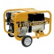 Generator Benza cu rezervor standard TR4300